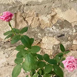 Appartamento Aletheia, Brindisi